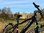Dallingridge Coniston 27.5"  Hardtail Mountain Electric Bike