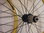 Dahon Q-Release Double Wall Rim Wheelset 8/9/10 sp  20" 406 Yellow/Black